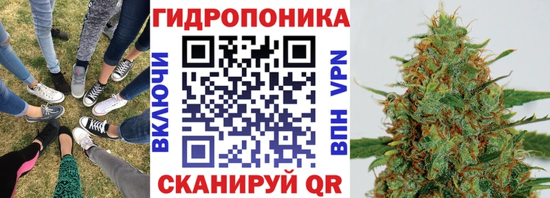 Бошки марихуана LSD WEED  наркота  hydra вход  Алейск 
